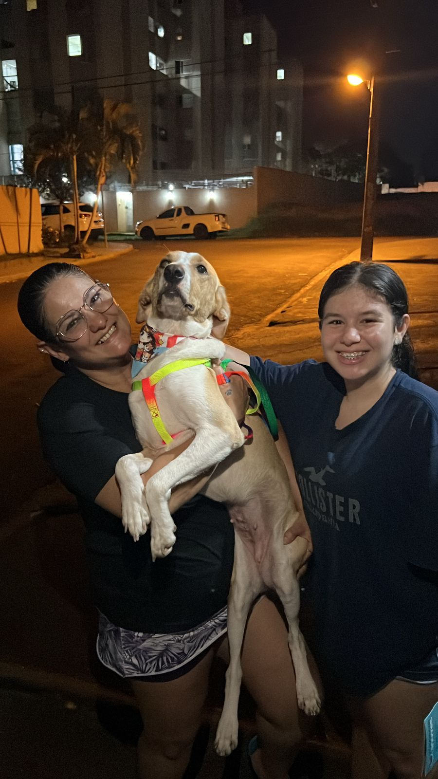 WhatsApp Image 2024-11-12 at 14.05.45.jpeg